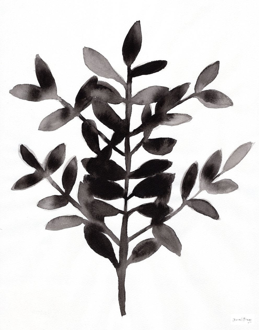 Botanical with Nagi Fern III by Janel Bragg