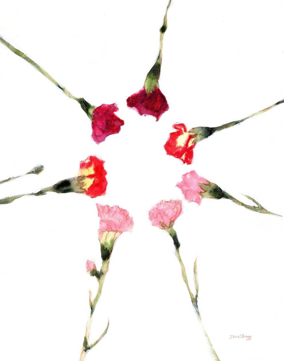 Circular Carnations, c.2019 by Janel Bragg