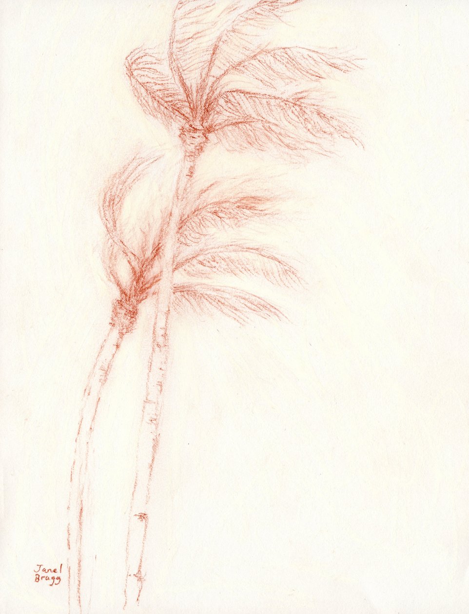 Once Upon a Tropical Vacation Palm Trees by Janel Bragg