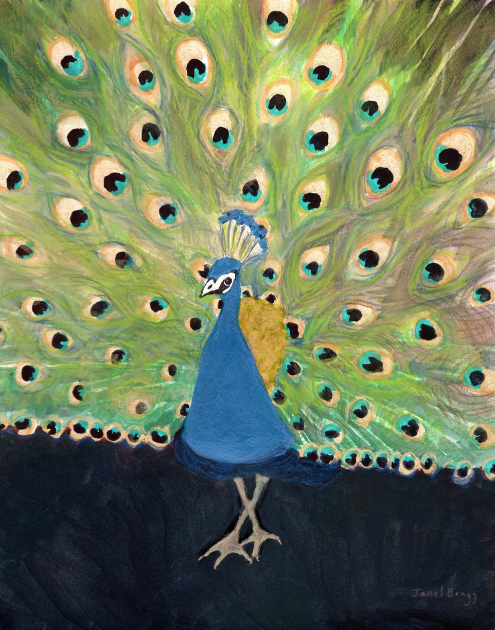 Peacock at Woodland Park Zoo by Janel Bragg