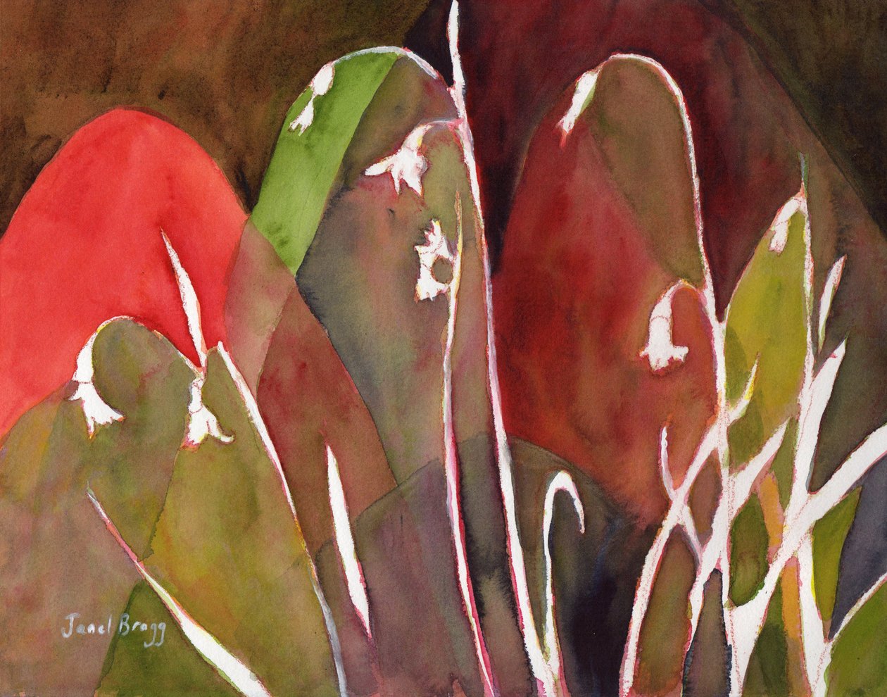 Snow Drops at the Gentry House, c.2018 by Janel Bragg