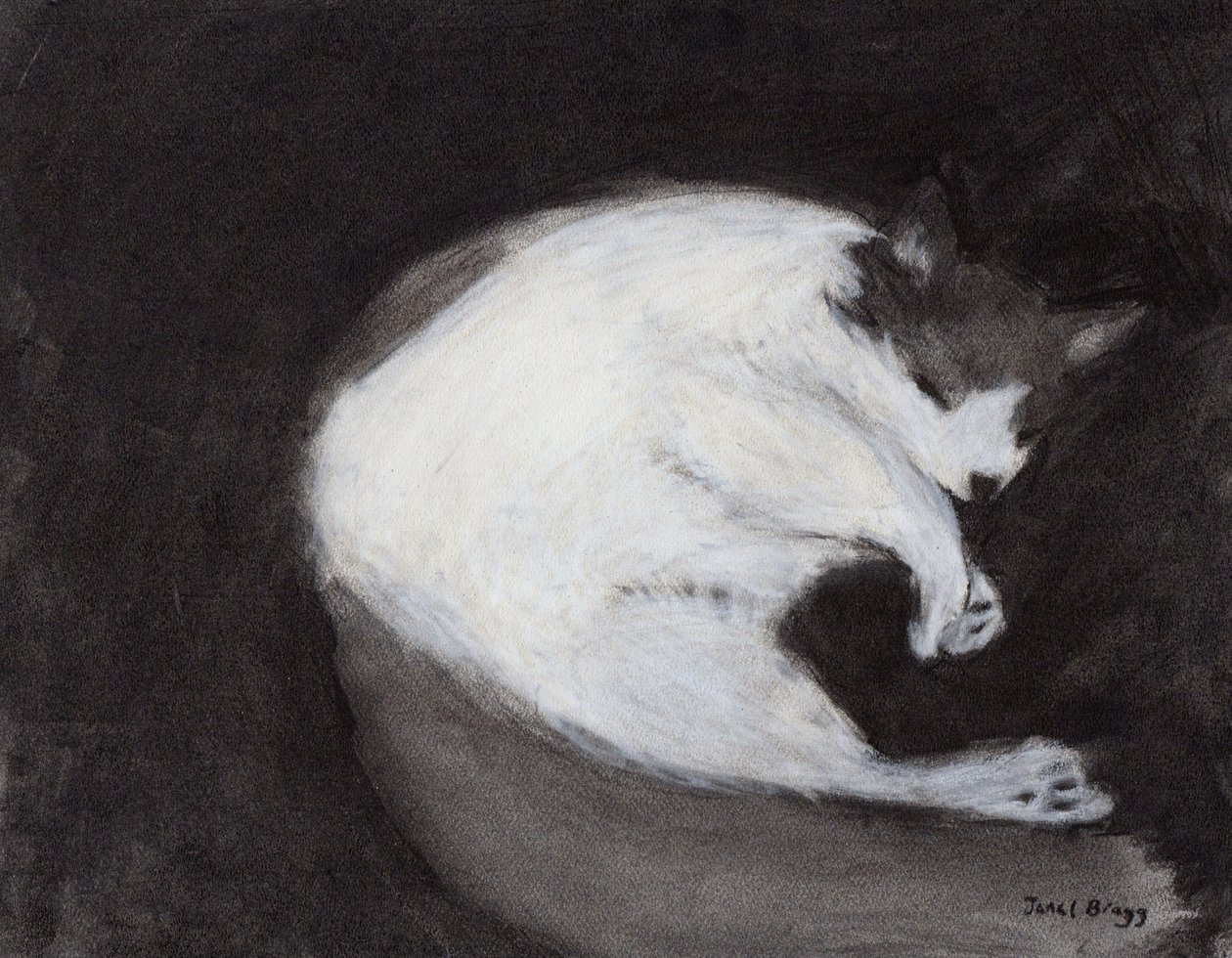 Thomas Taking a Nap by Janel Bragg