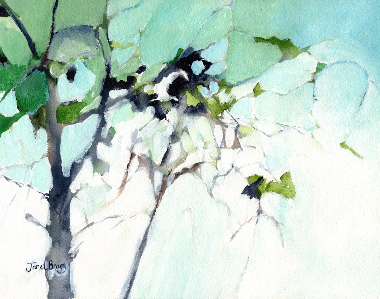 View out my Kitchen Window, c.2016 by Janel Bragg