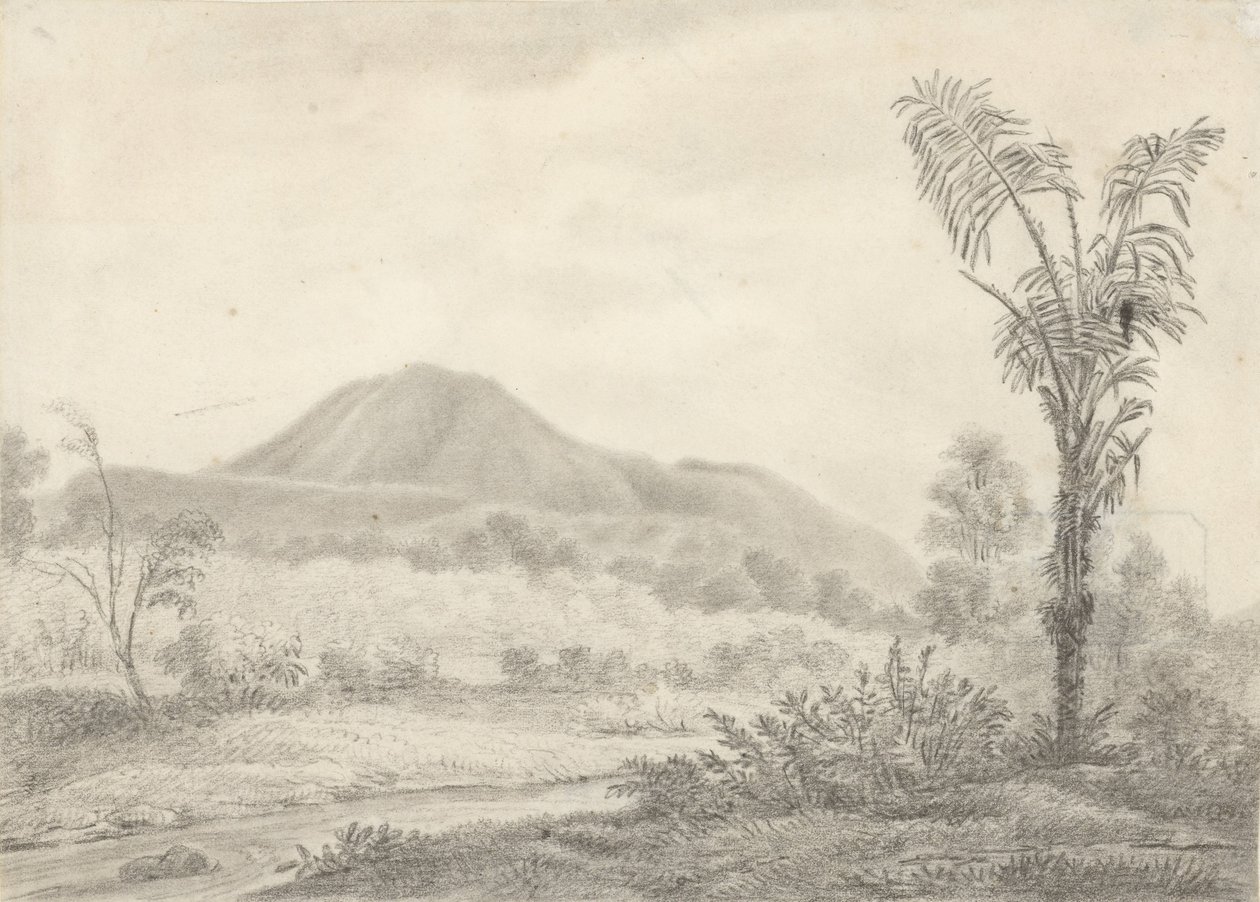 Javanese Landscape with Mountain and Palm by Jannes Theodorus Bik