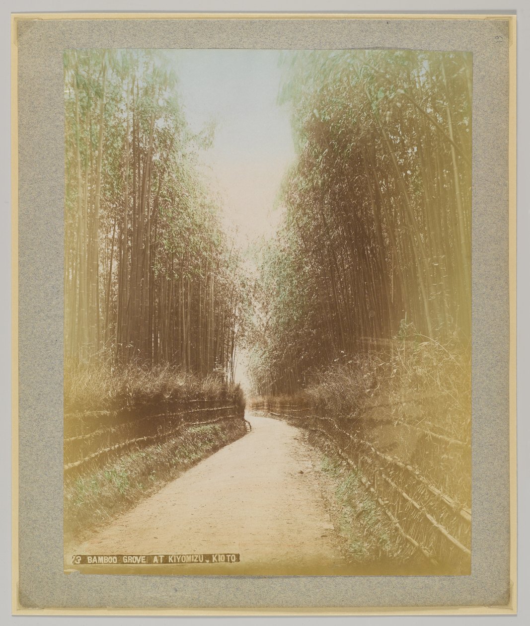 Bamboo Grove at Kiyomizu, Kyoto, Japan by Japanese Photographer