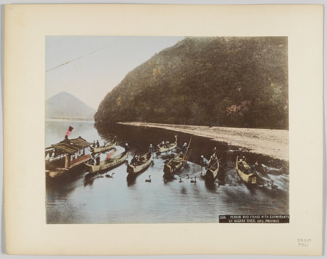 Cormorant Fishing on the Nagara River, Gifu Prefecture, Japan by Japanese Photographer