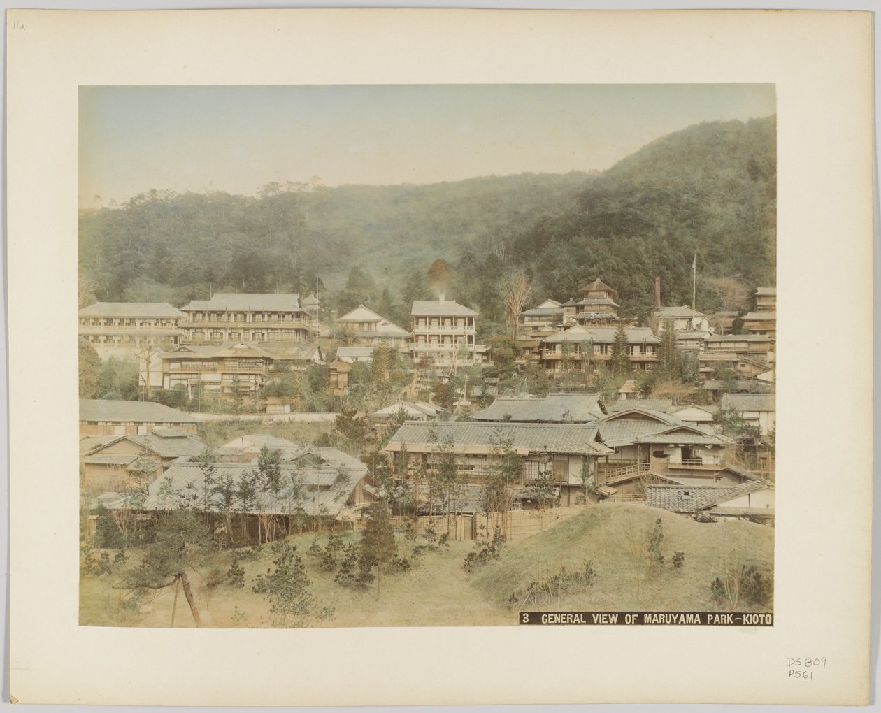 General View of Maruyama Park, Kyoto, Japan by Japanese Photographer
