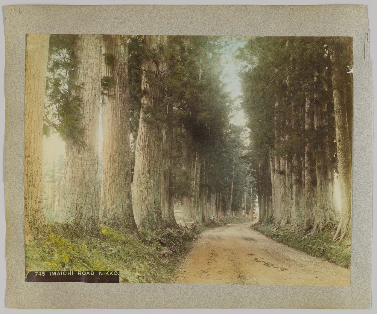 Imaichi Road, Nikko, Japan by Japanese Photographer
