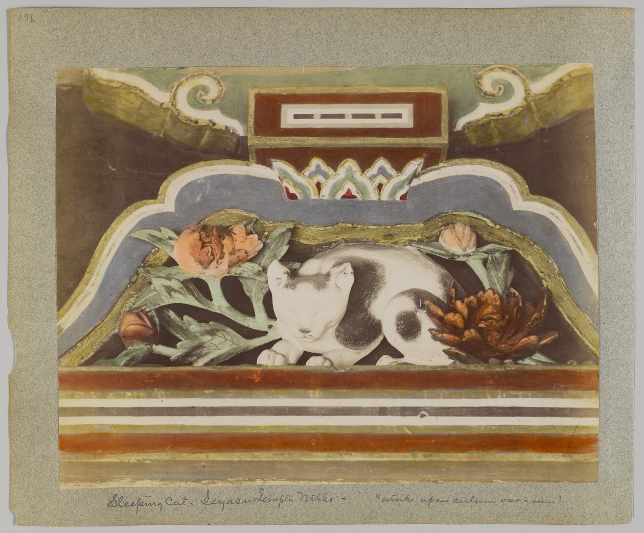 Sleeping cat (detail), Tōshō-gū, Nikko, Japan by Japanese Photographer