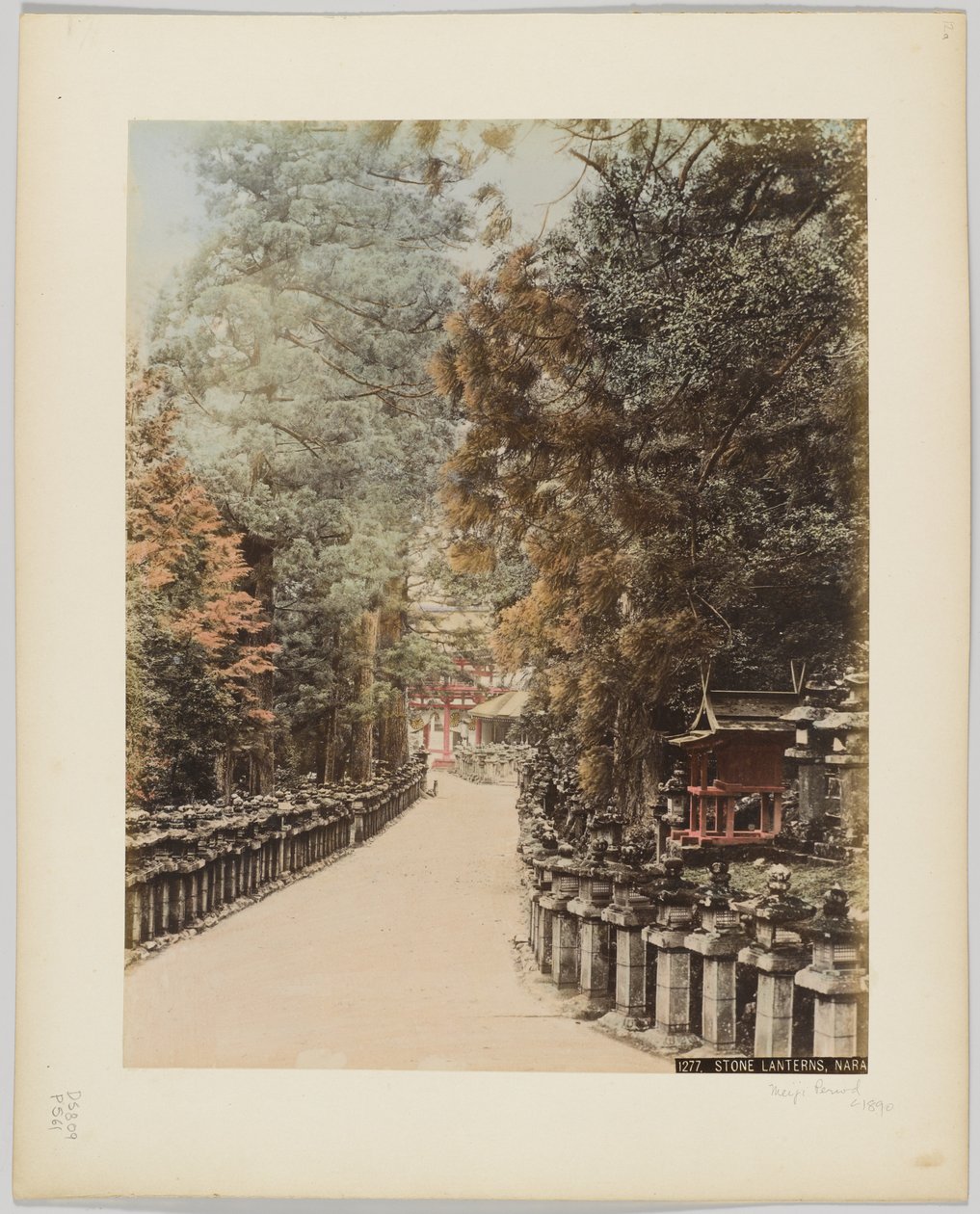Stone Lanterns, Nara, Japan by Japanese Photographer