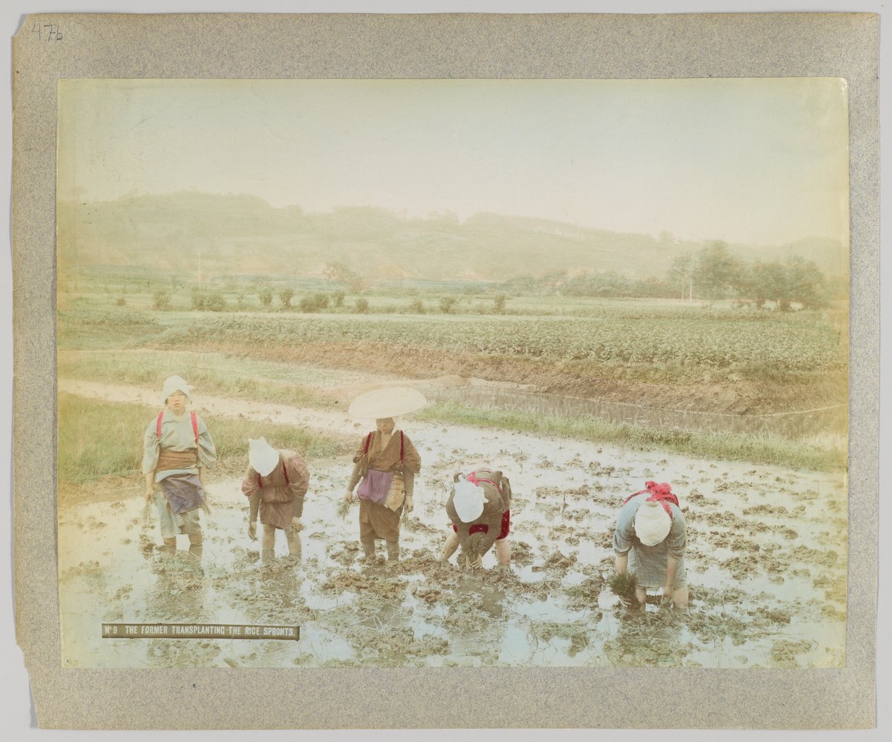 Transplanting rice sprouts, Japan by Japanese Photographer
