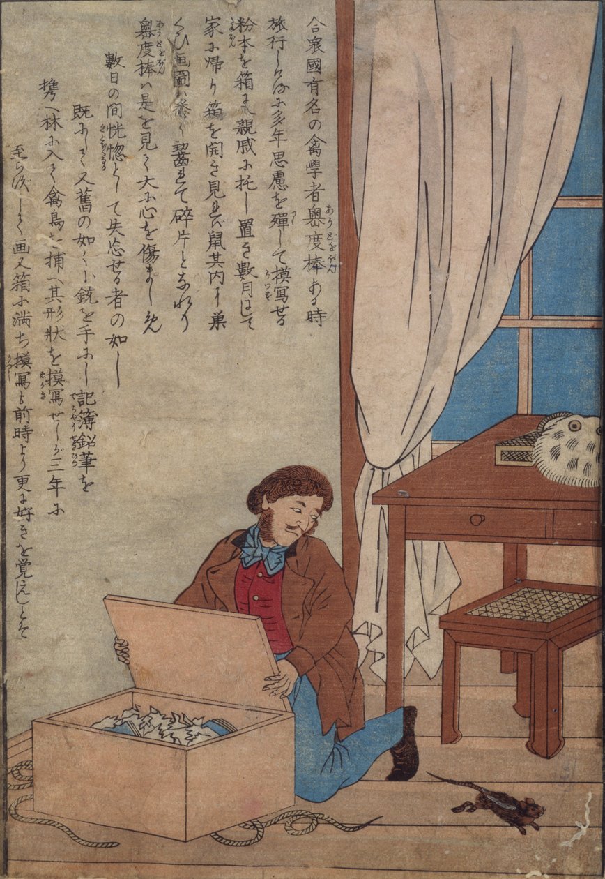 Audubon Opening His Box of Watercolours Destroyed by Norway Rats by Japanese School