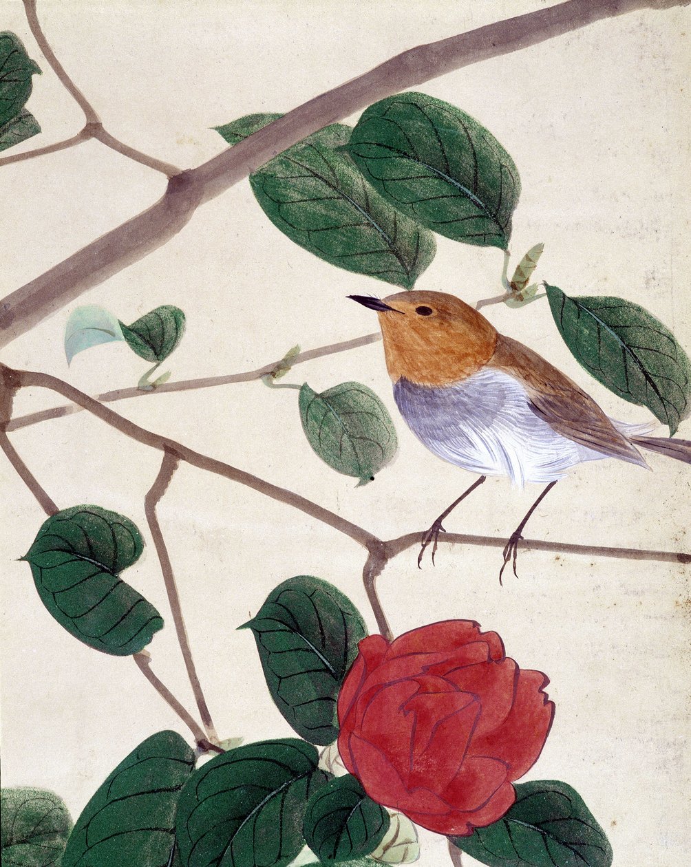 Bird and flowers by Japanese School