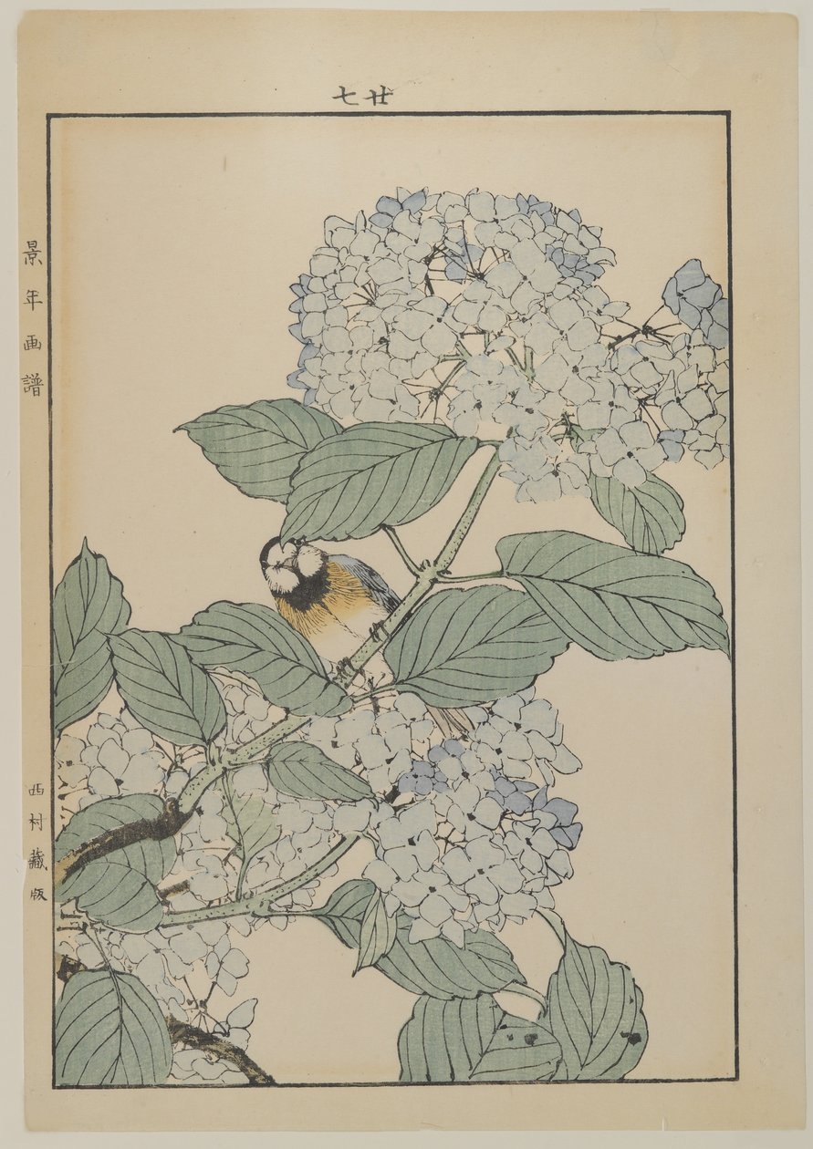 Bird with Hydrangea, Meiji Period, c.1868-1912 by Japanese School