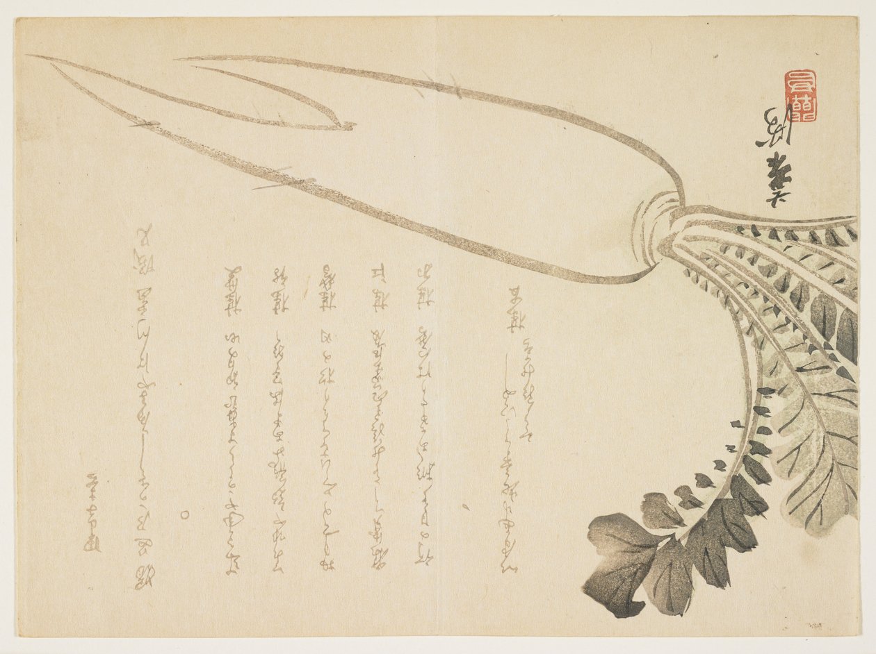 Daikon Radish, January 1864 by Japanese School