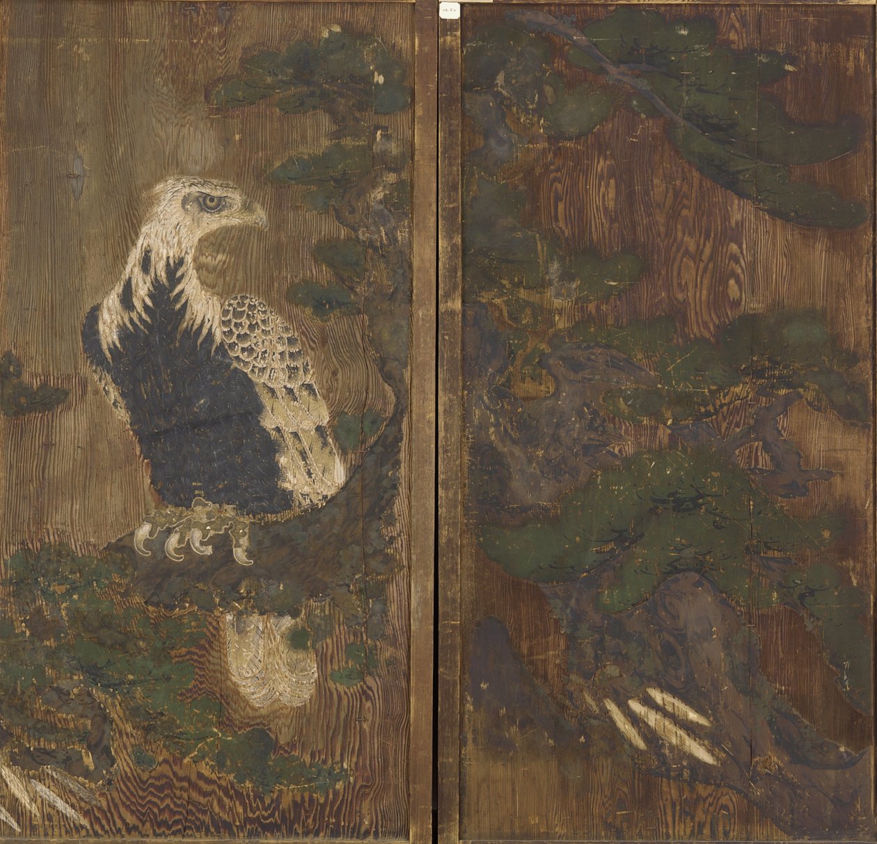 Eagle in a pine tree, Momoyama period, possibly 17th century by Japanese School