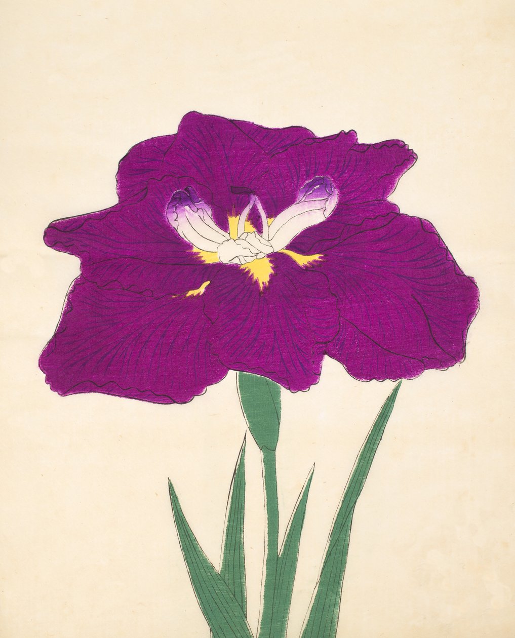 Hizume-no-Hyoshi, no.29, 1898 by Japanese School