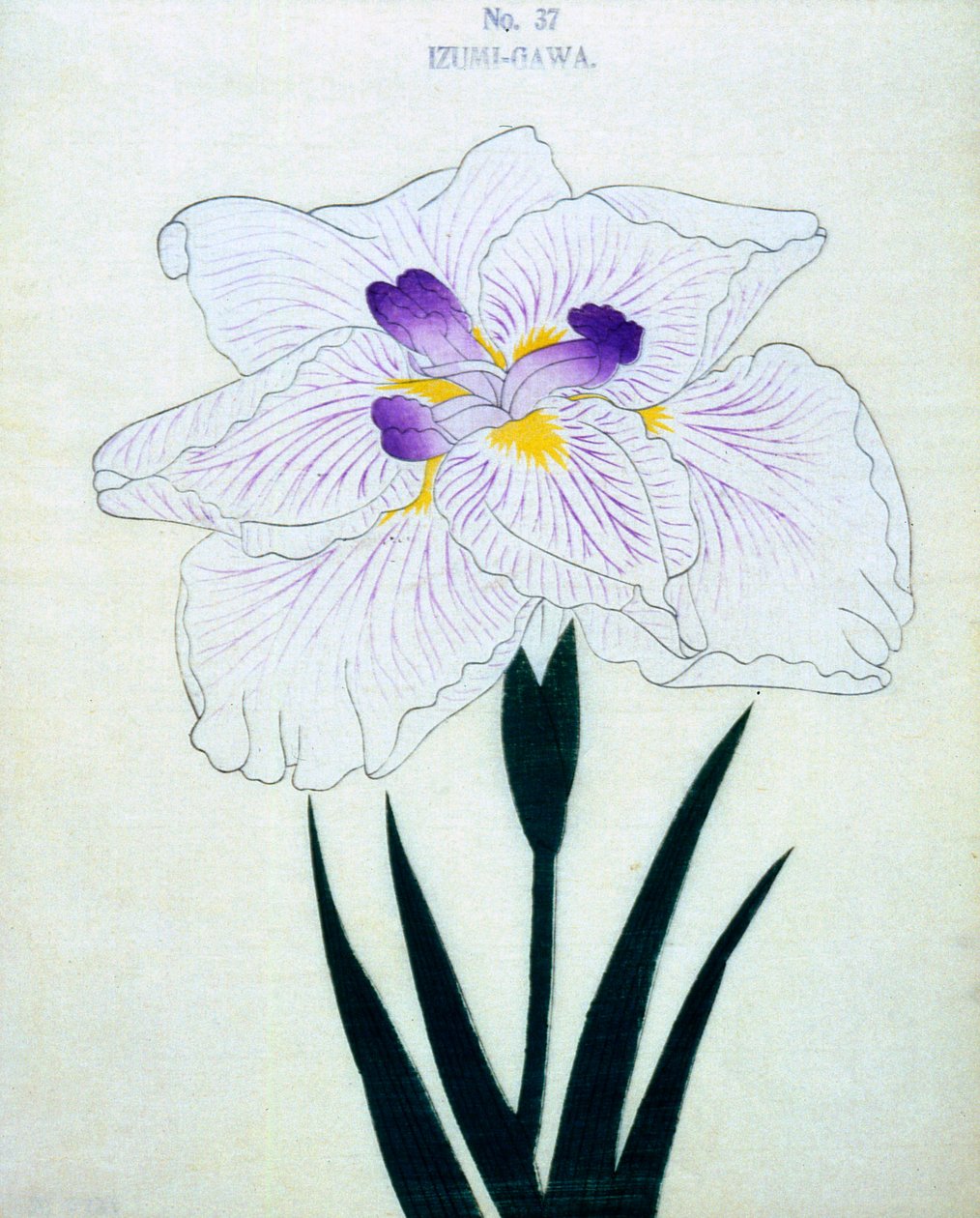 Izumi-Gawa, no.37, 1898 by Japanese School