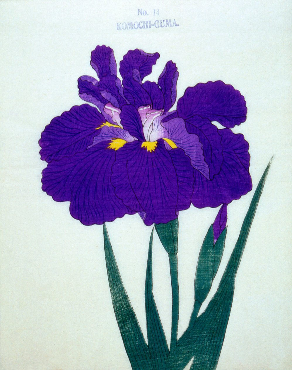 Komochi-Guma no.14, 1898 by Japanese School