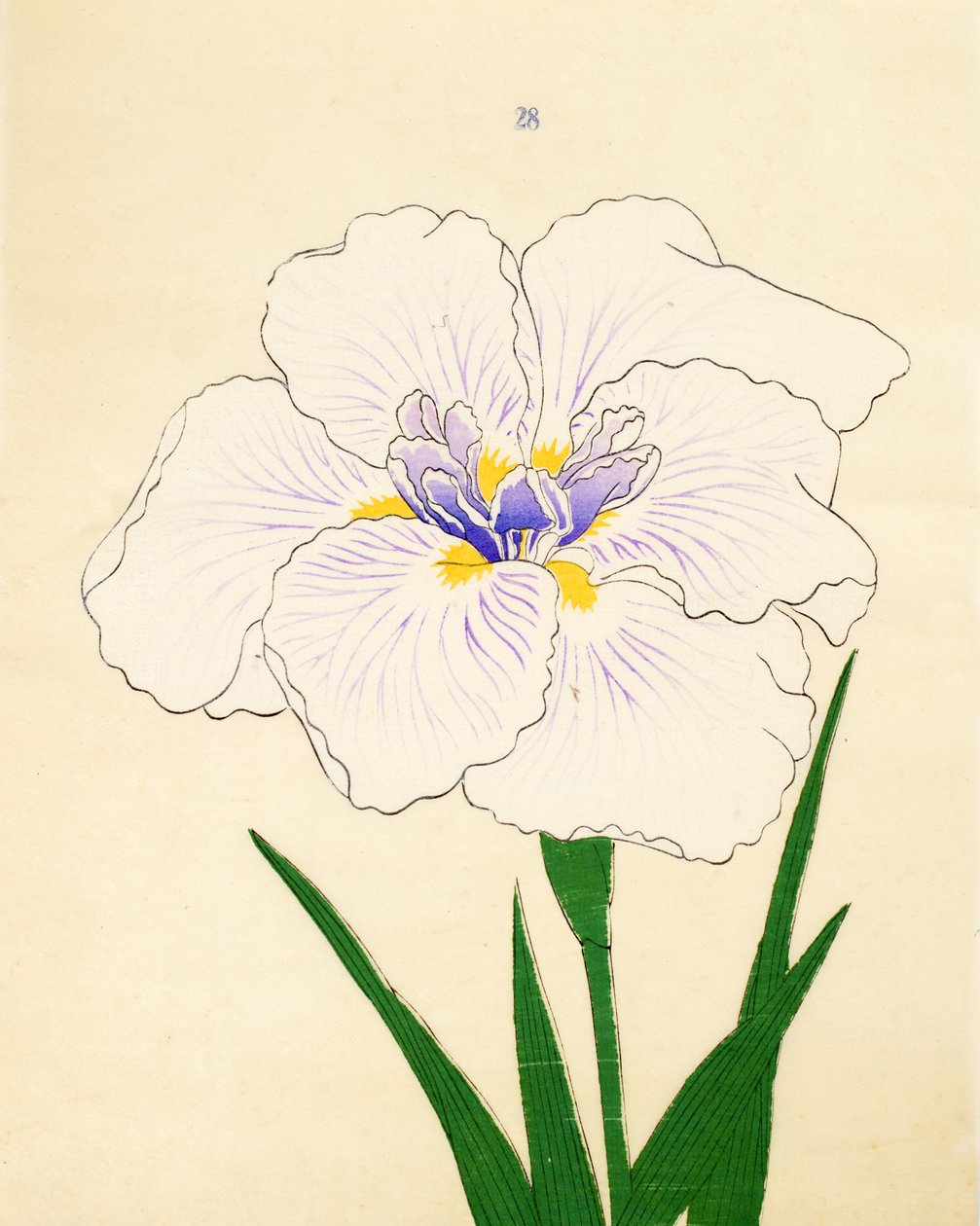 Manu-Zuru, No. 28, 1890 by Japanese School
