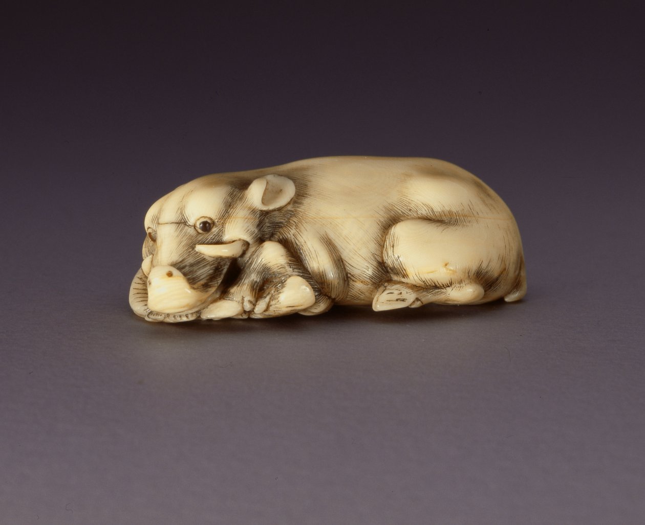 Netsuke depicting a reclining boar, c. 1750-80 by Japanese School