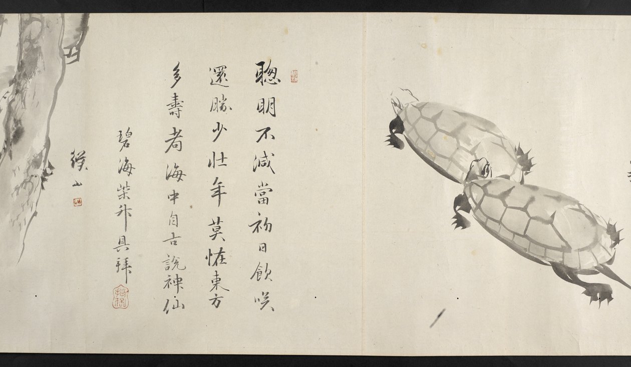 Two tortoises, from Yoshida Seisai by Japanese School