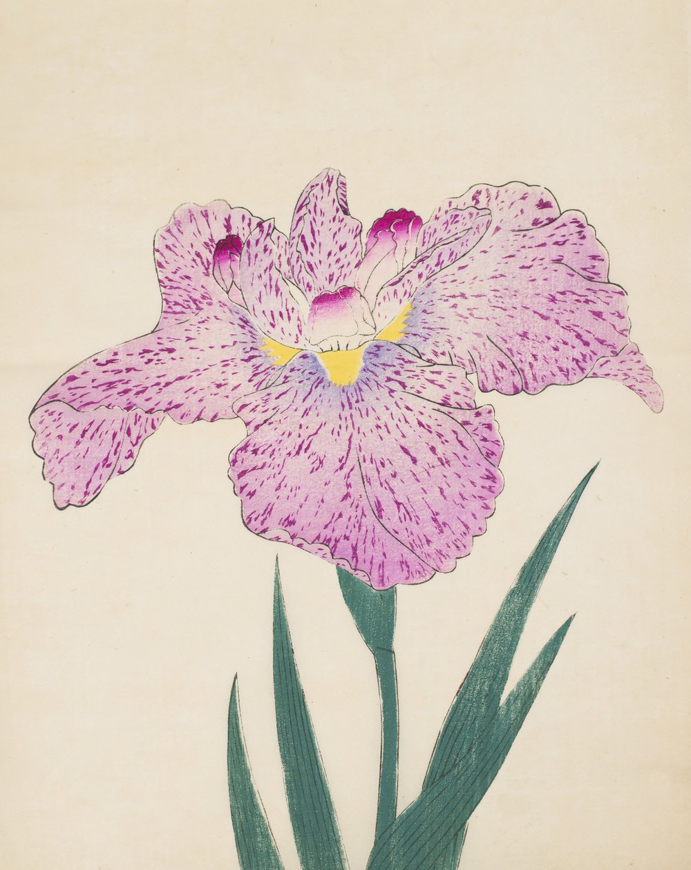 Tanka-No-Koe, No. 15 by Japanese School