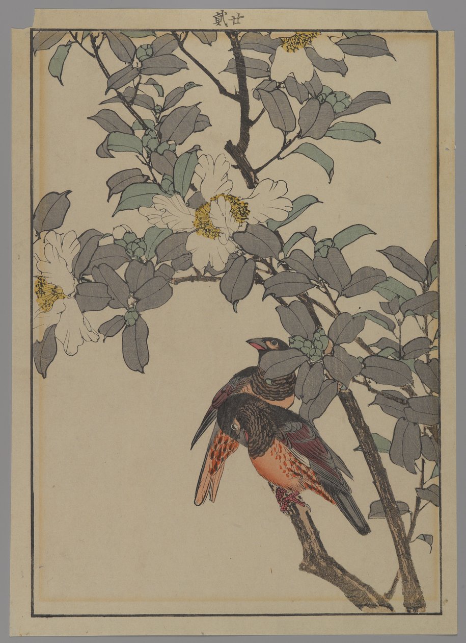Two Birds with White Flowers, Meiji Period, 1892 by Japanese School