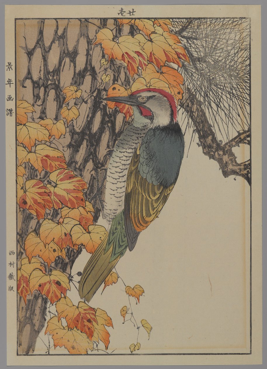 Woodpecker, 1892 by Japanese School