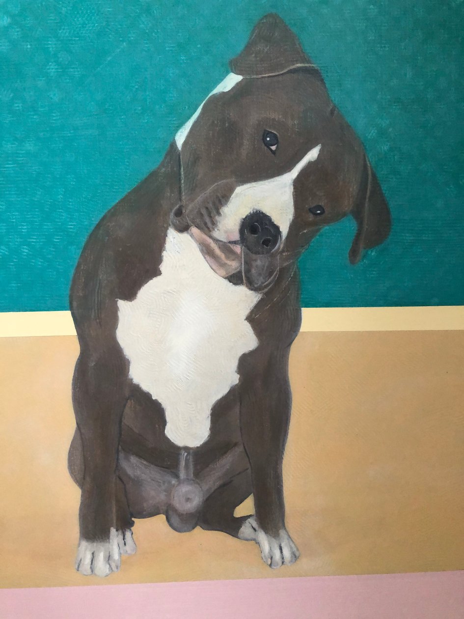 Dear Dog (detail) by Jasper Galloway