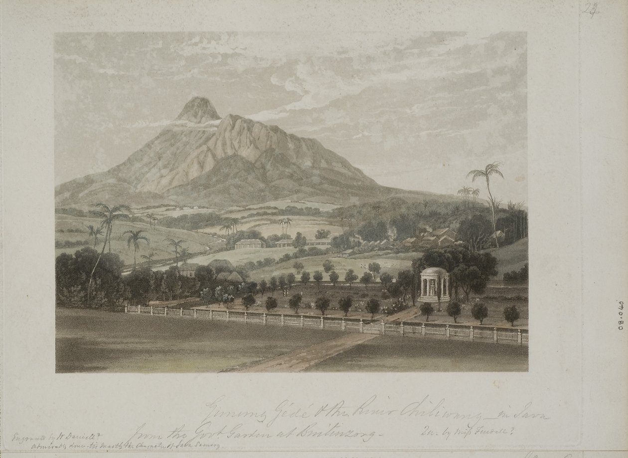 Garden at Buitenzorg by Javanese School
