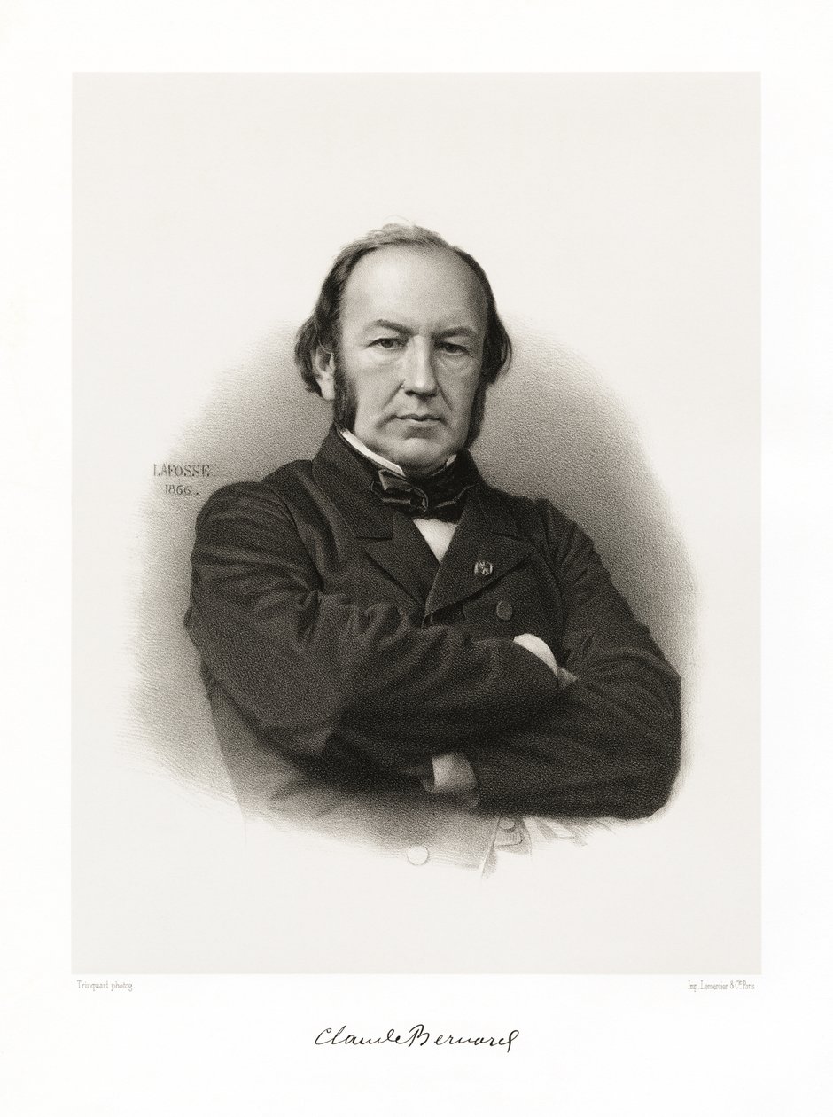 Claude Bernard by Jean Baptiste Adolphe Lafosse