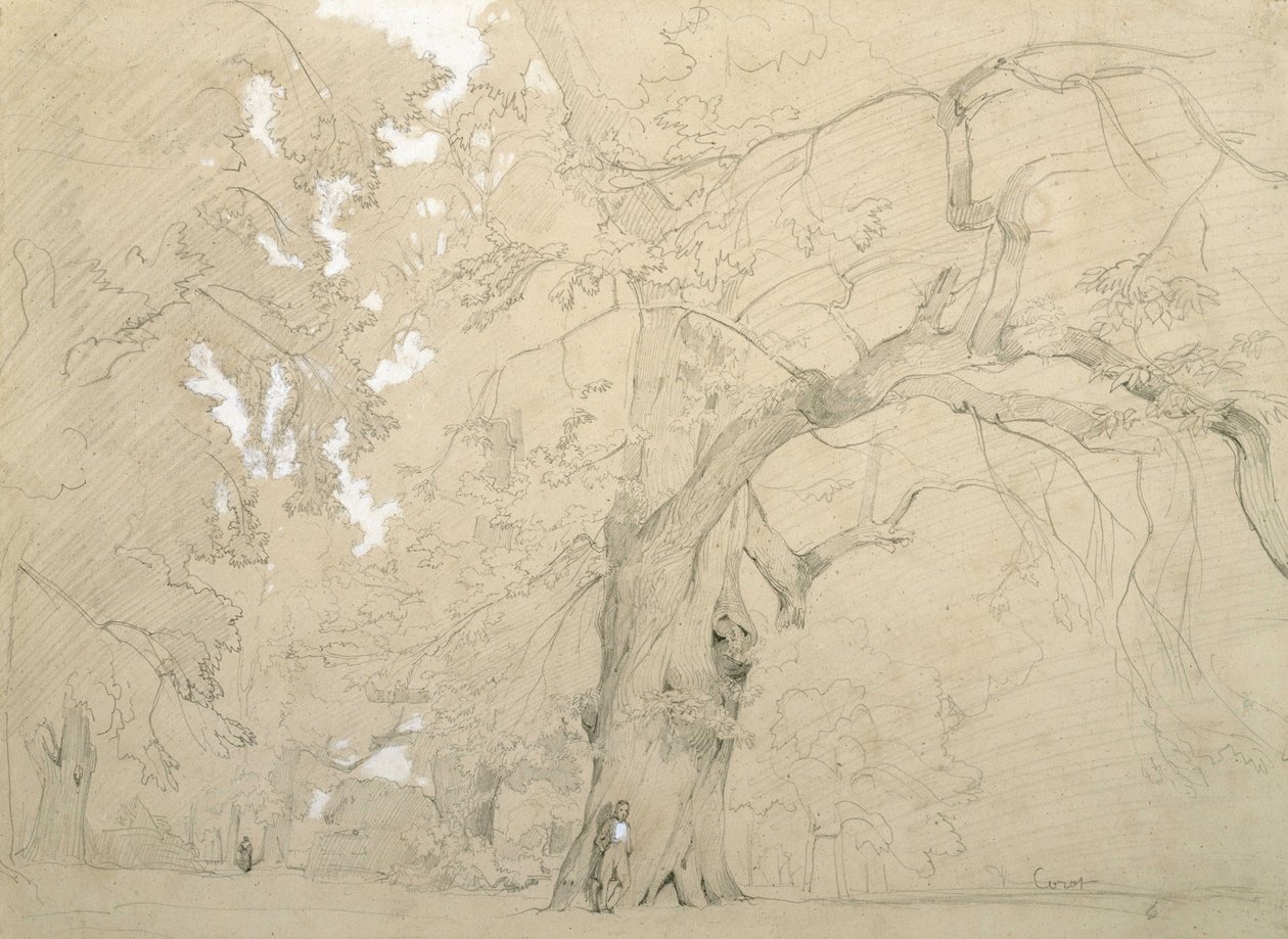 A Young Man in Front of a Big Oak by Jean Baptiste Camille Corot