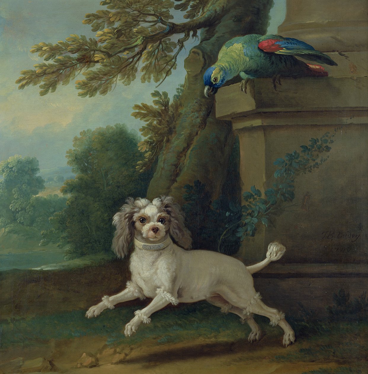 Zaza, the dog by Jean Baptiste Oudry
