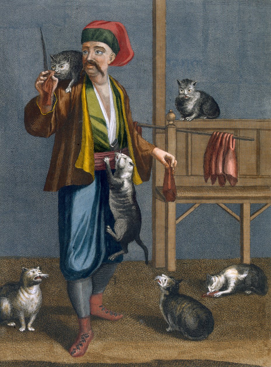 Cat feeder, plate from 
