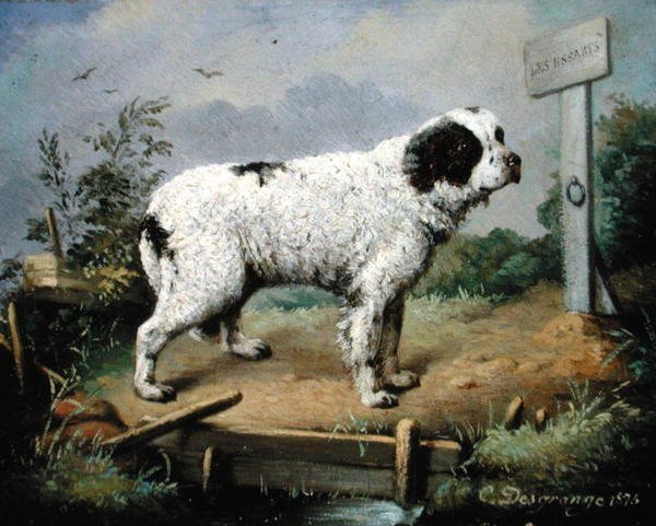 A Newfoundland on an Embankment by Jean Baptiste Desgrange