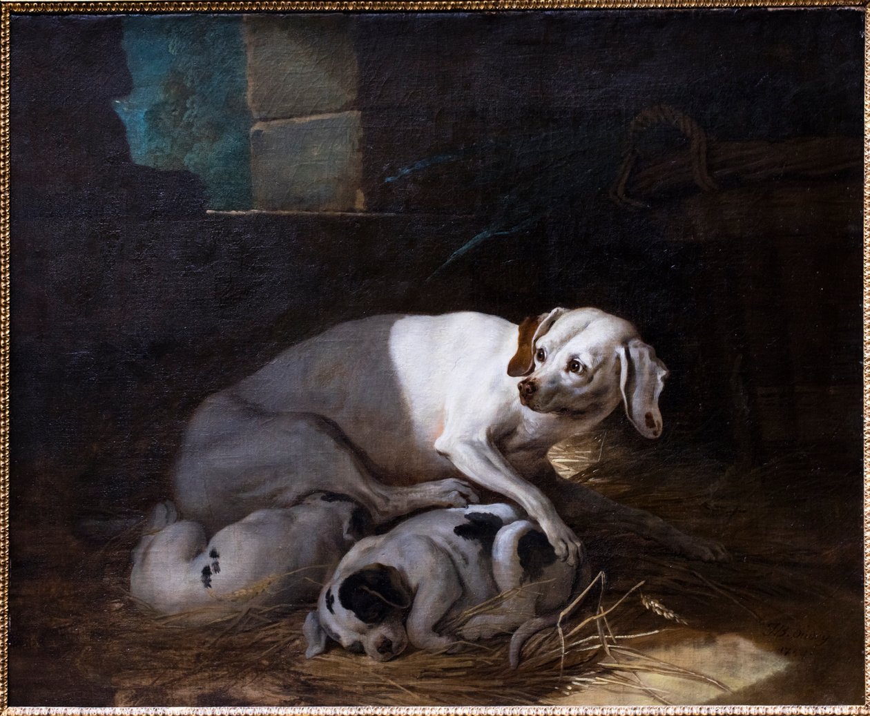 Dog Nursing Her Young by Jean-Baptiste Oudry