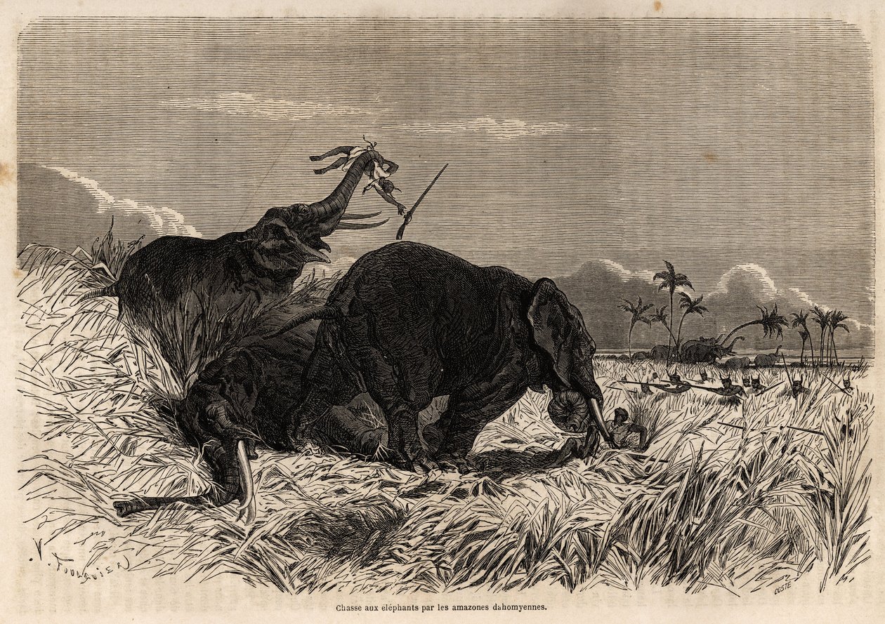 The hunt for elephants by the Dahomyan Amazons by Jean Antoine Valentin Foulquier