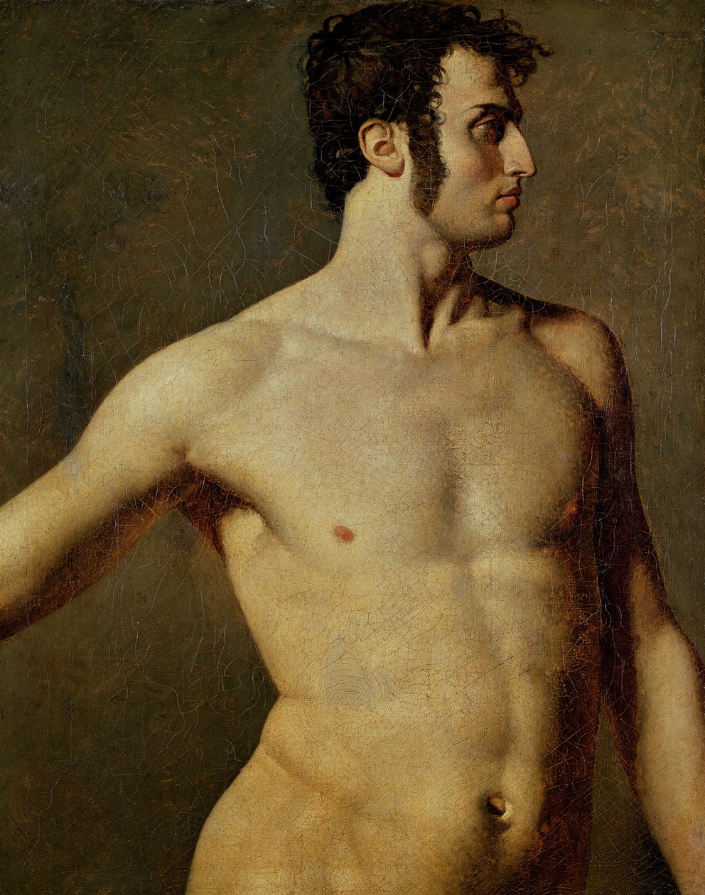 Male Torso by Jean Auguste Dominique Ingres