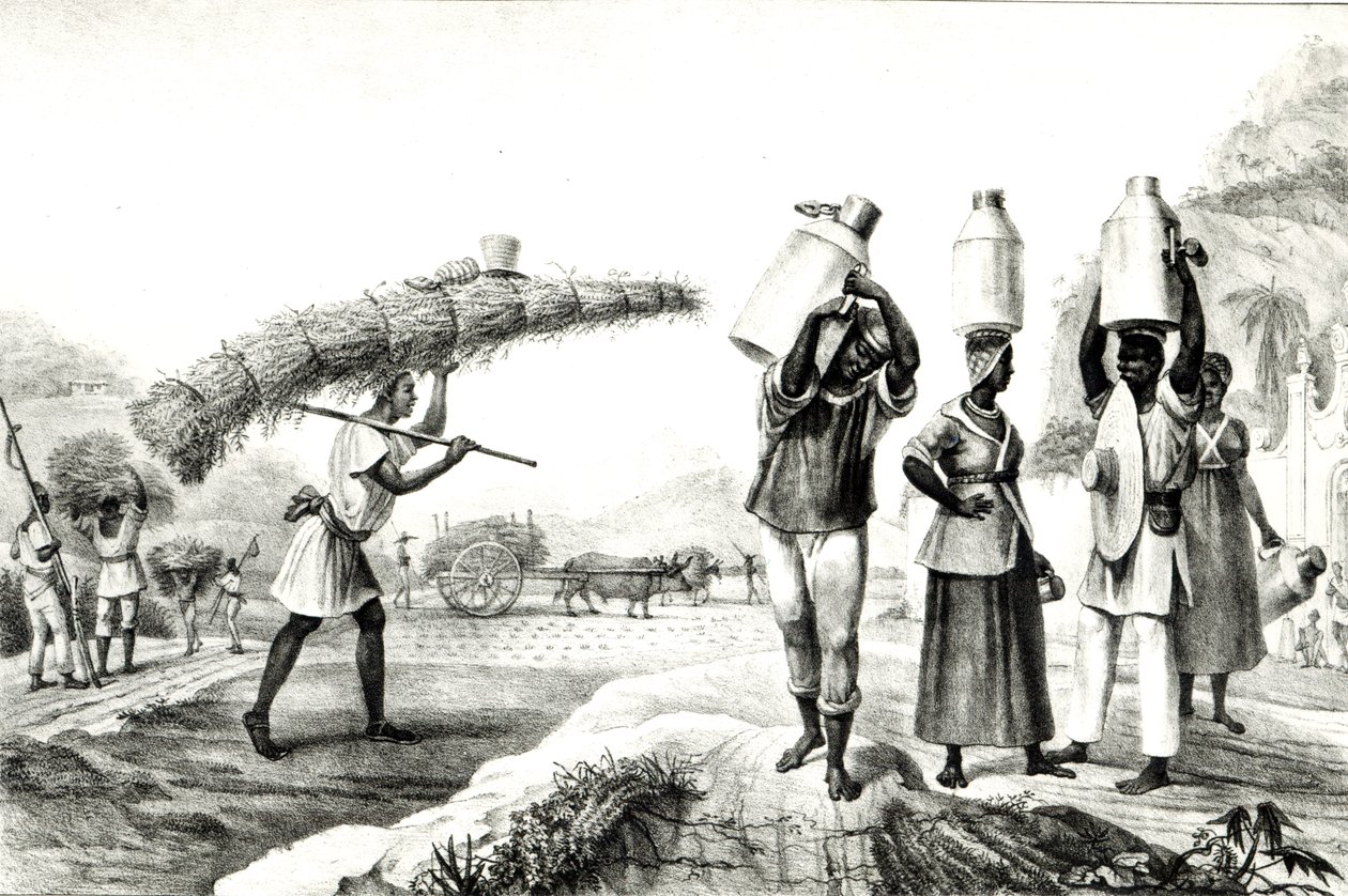 Milk and Capim Vendors, from 