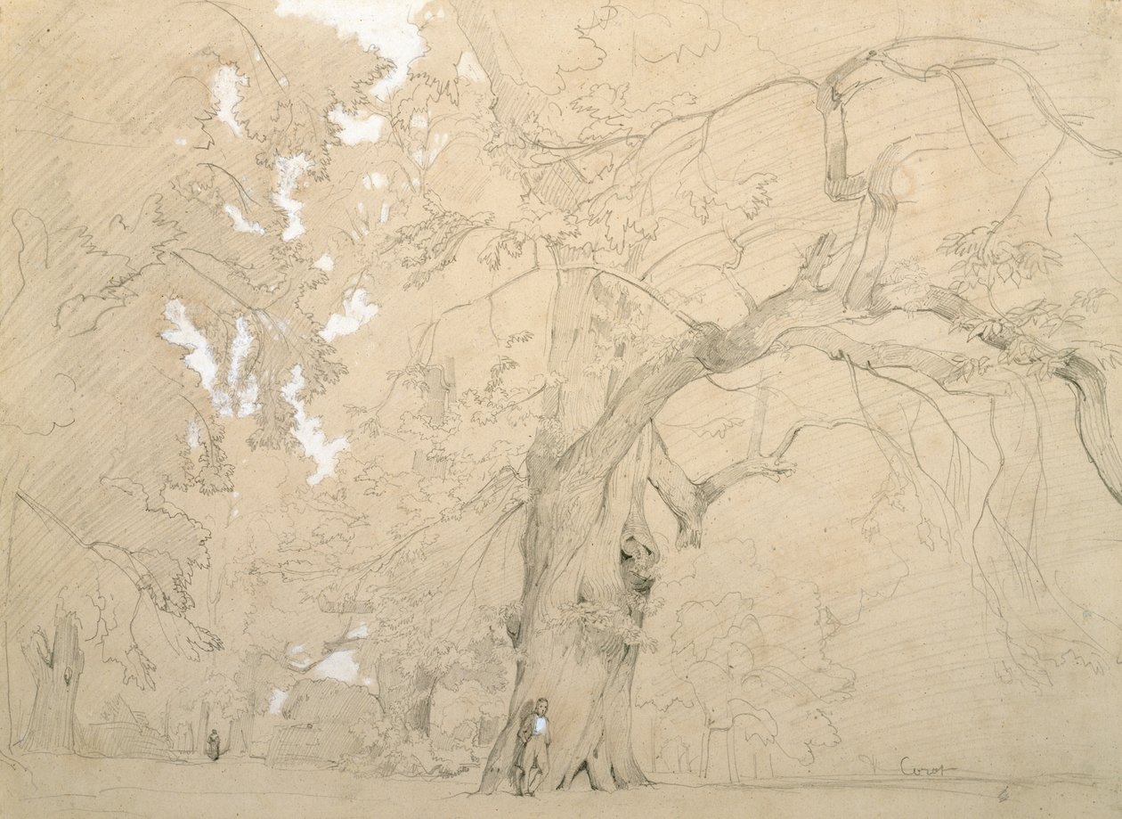 Young Man in Front of a Great Oak, c.1840 by Jean Baptiste Camille Corot