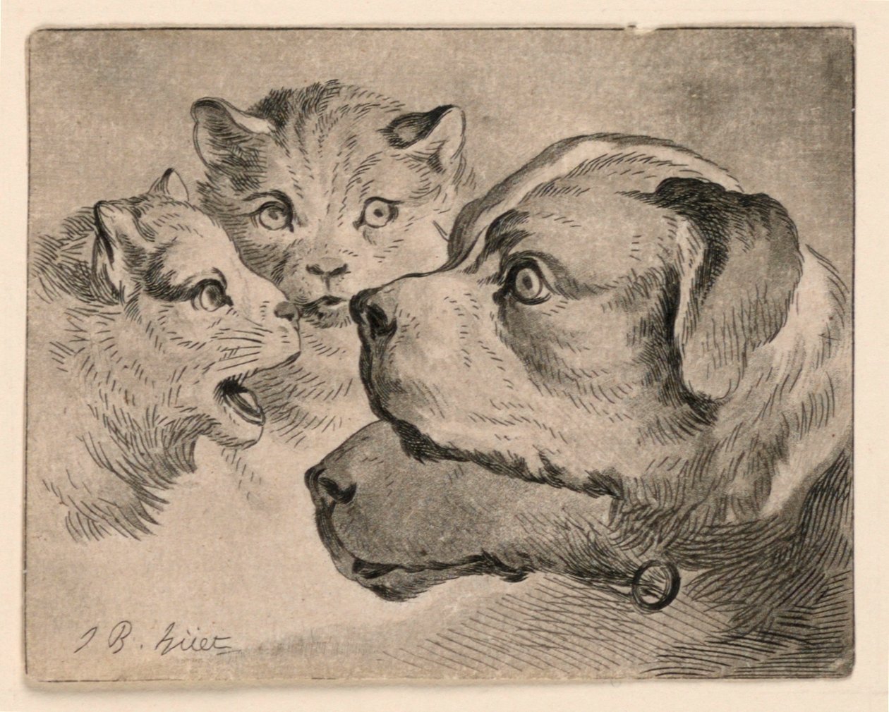 Heads of Cats and Dogs by Jean Baptiste Huet