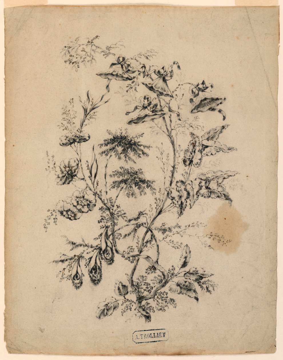 Bough of a Fantastic Tree, 1775–1800 by Jean Baptiste Pillement