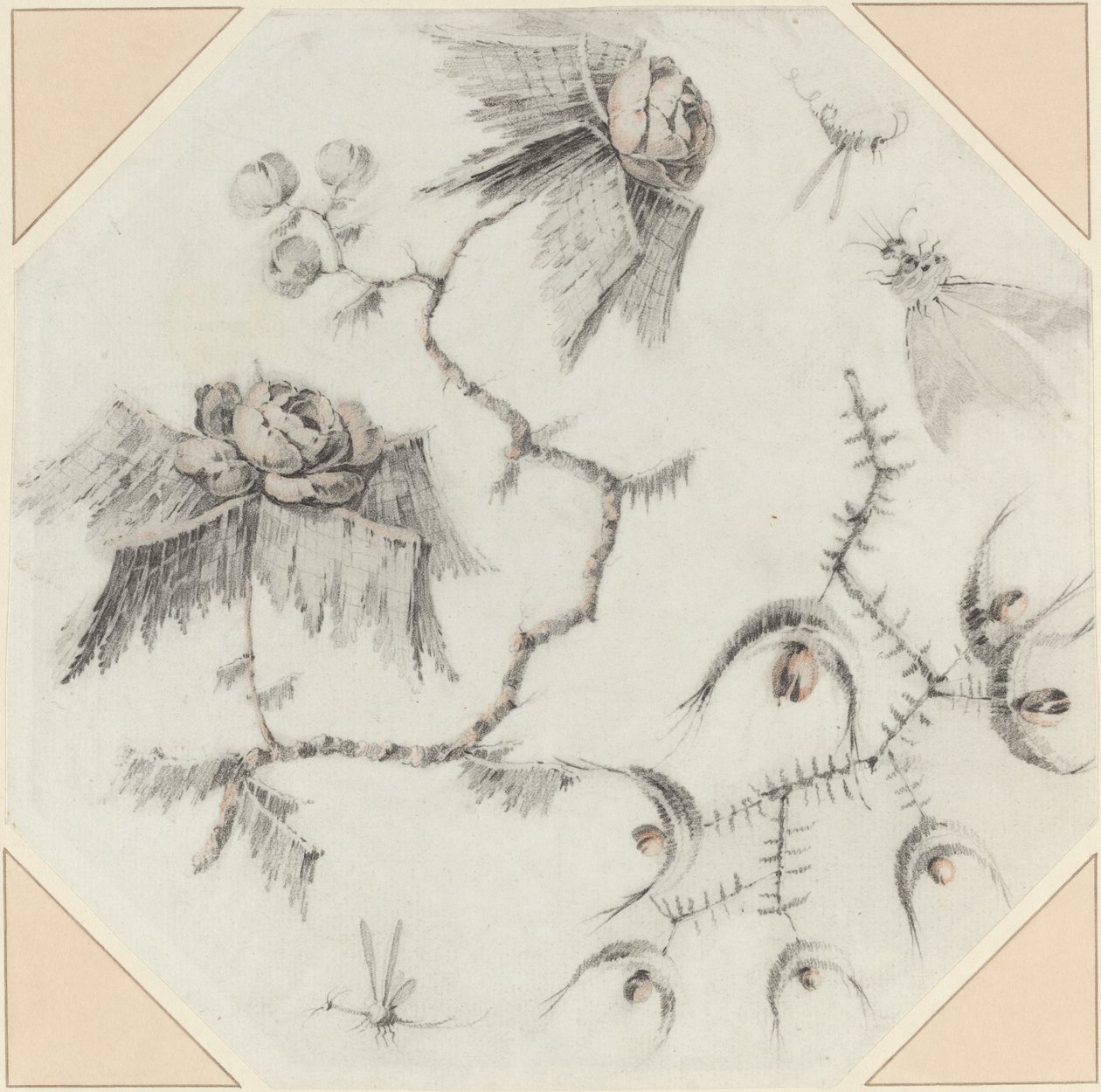 Fanciful Flowers and Bugs by Jean Baptiste Pillement