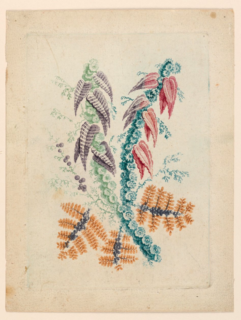 Fantastic Flower Motif from "Nouvelle Suitte de Cahiers de fleurs idéales" by Jean Baptiste Pillement
