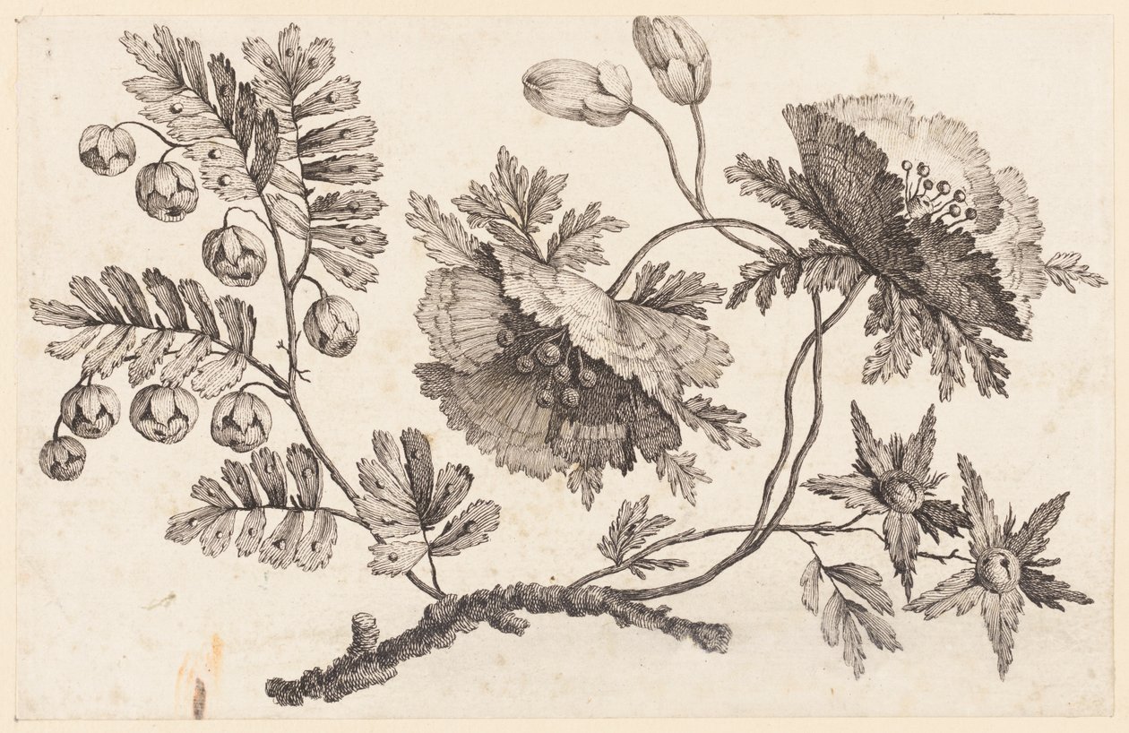 Flower Bough, from "Recueil de Fleurs Chinois" by Jean Baptiste Pillement