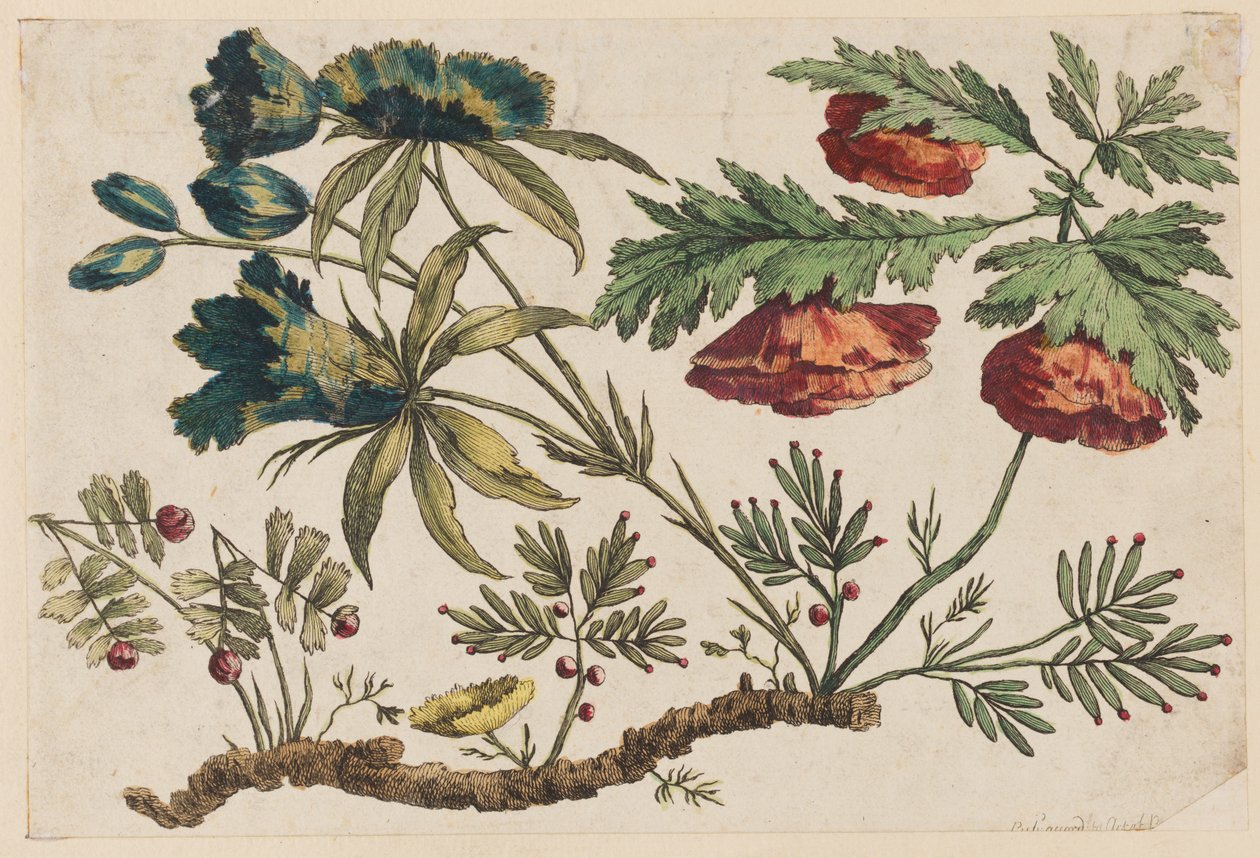 Flower Bough, from "Collection of Chinese Flowers" by Jean Baptiste Pillement