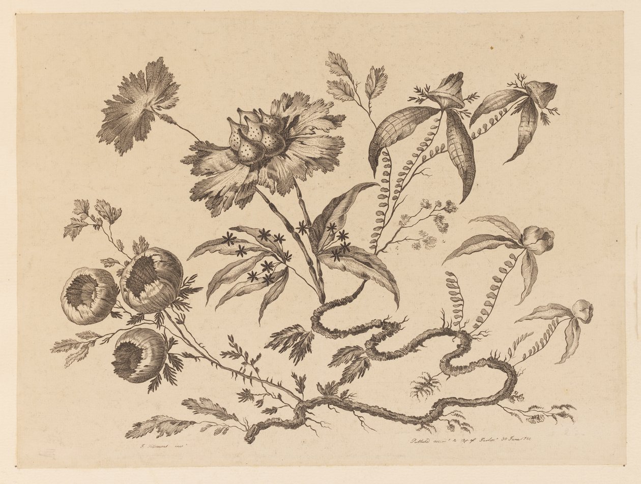 Flower Boughs, from "Recueil de Differentes Fleurs de Fantaisie Dans le Goût Chinois" by Jean Baptiste Pillement