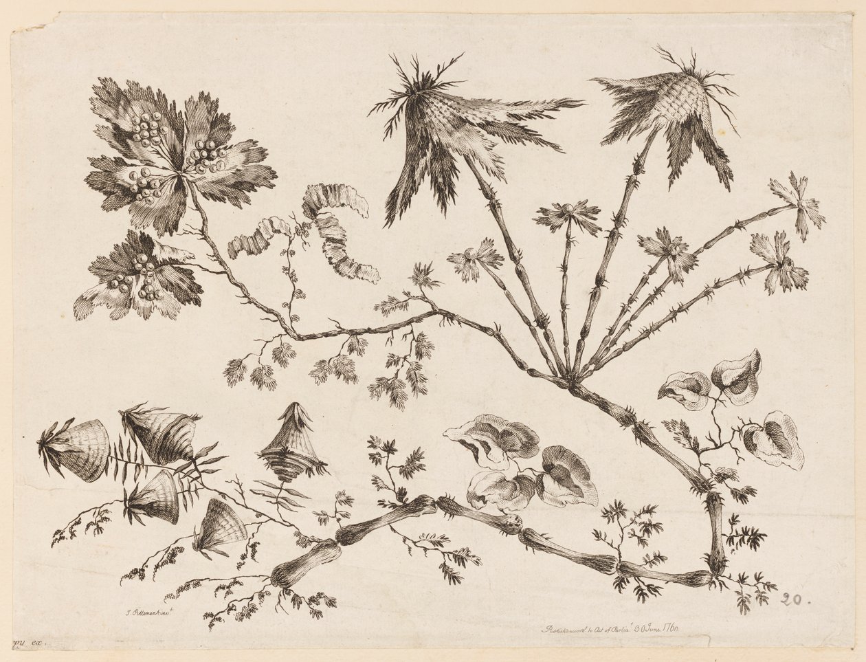 Flower Boughs, from "Recueil de Differentes Fleurs de Fantaisie Dans le Goût Chinois" by Jean Baptiste Pillement
