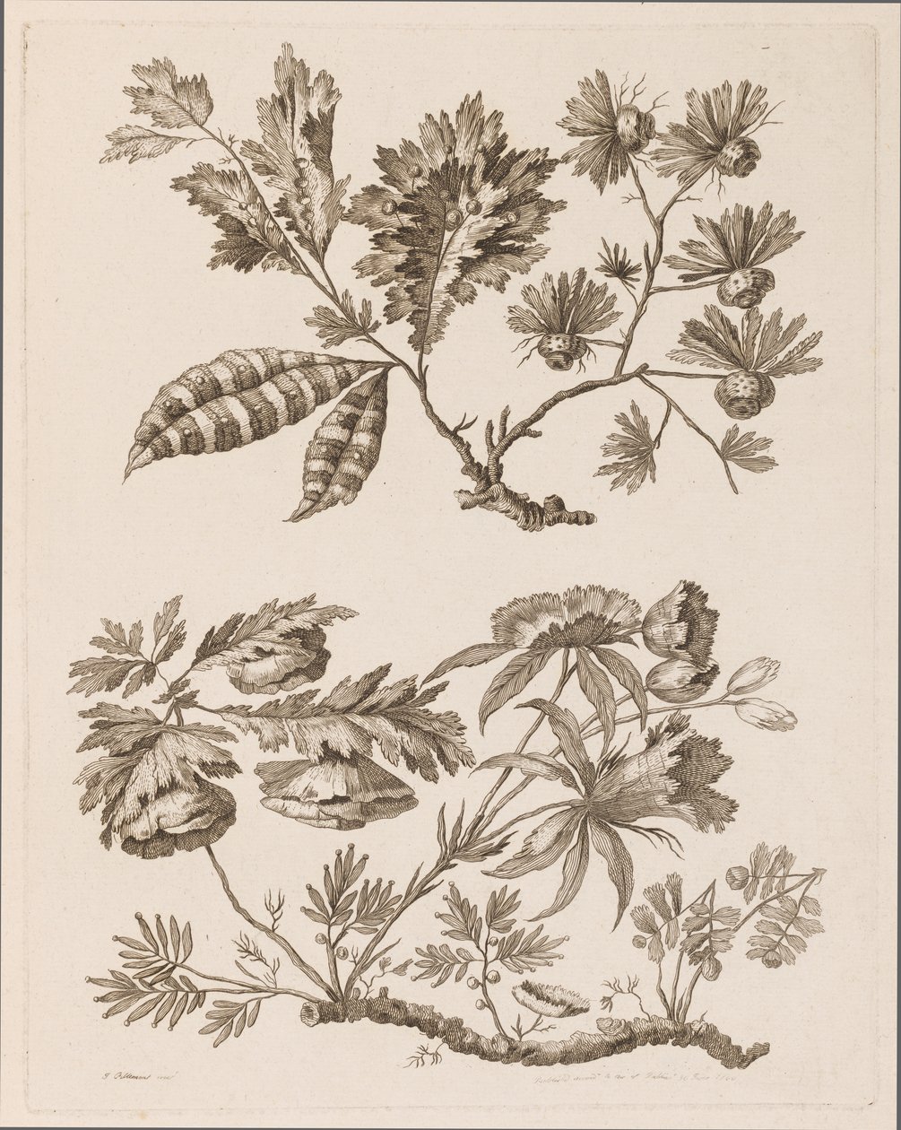 Flower Boughs, from "Recueil de Differentes Fleurs de Fantaisie Dans le Goût Chinois" by Jean Baptiste Pillement